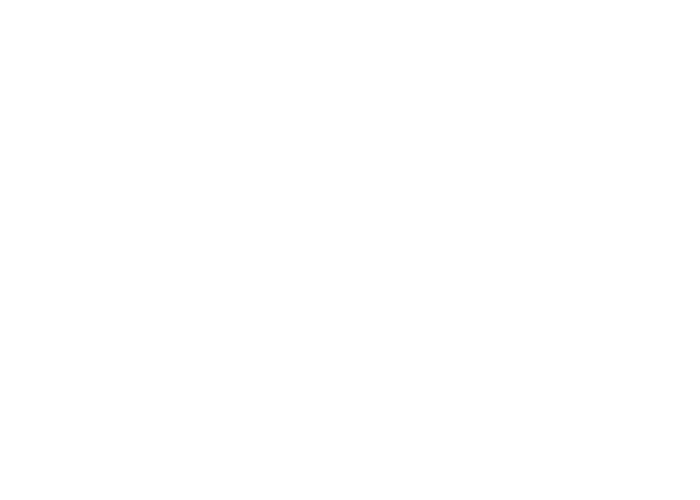Logo Pachuchis